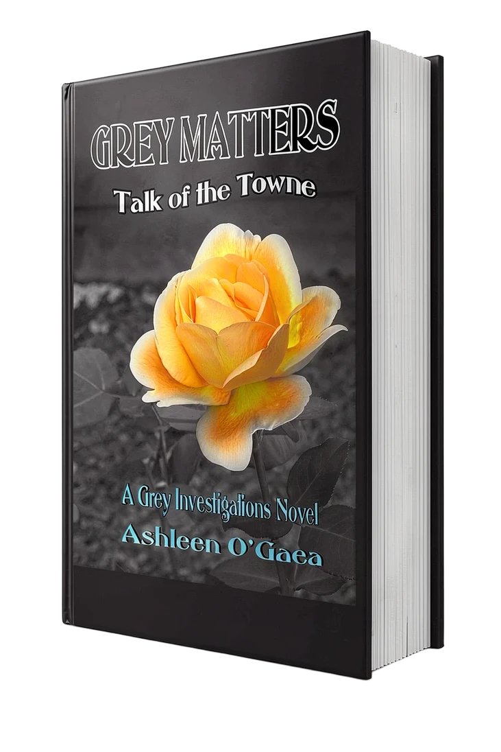 cover image of Grey Matters, a novel by Ashleen O'Gaea